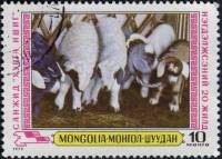 (1979-031) Марка Монголия "Ягнятник"    Картины сельского хозяйства III O